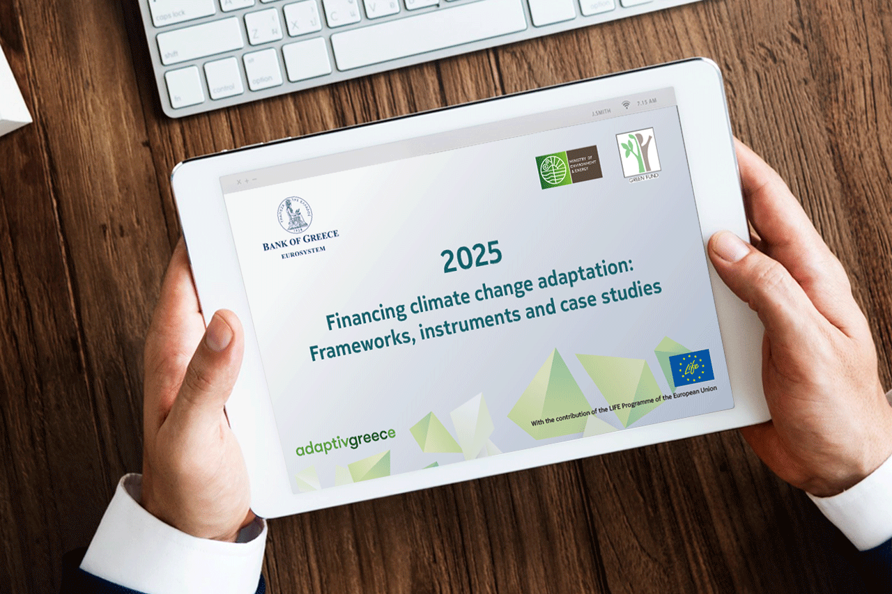 Financing climate change adaptation: Frameworks, instruments and case ...